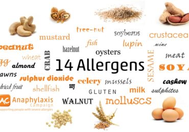14 major food allergies