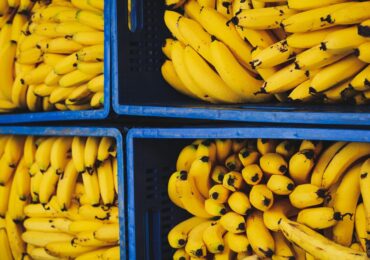 Banana Allergy header